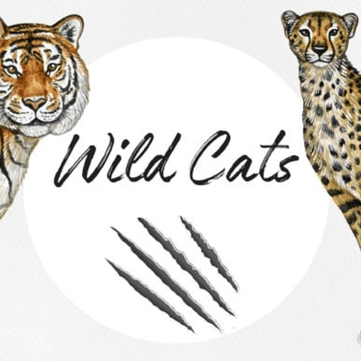 Kit Digital Onça E Tigre 1