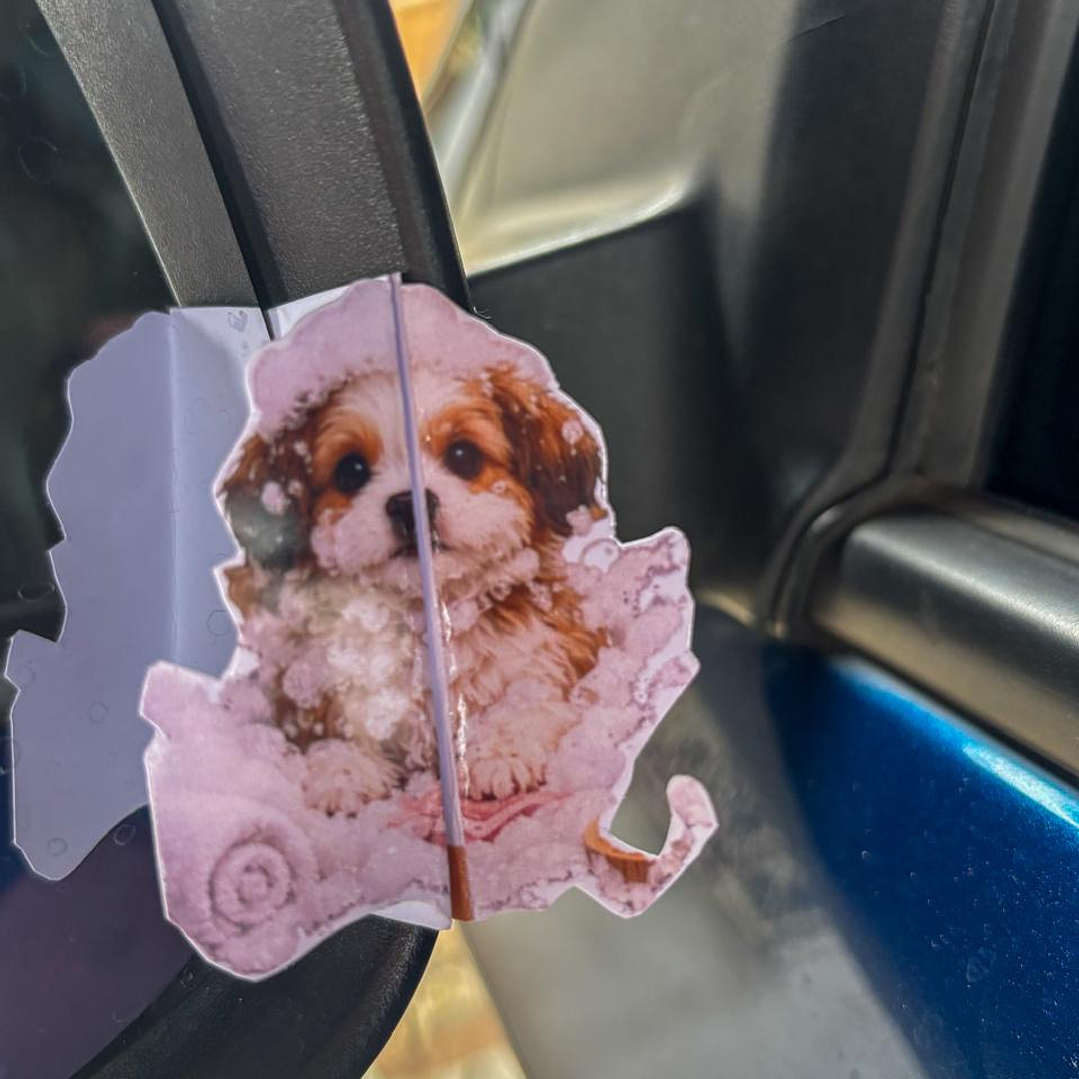 Arquivo Card Cartões Retrovisor  11