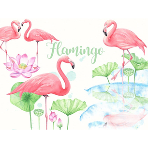 Kit Digital Flamingo