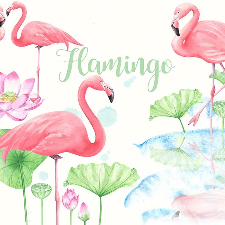 Kit Digital Flamingo 1