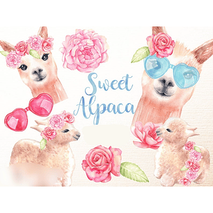 Kit Digital Alpa Fofa