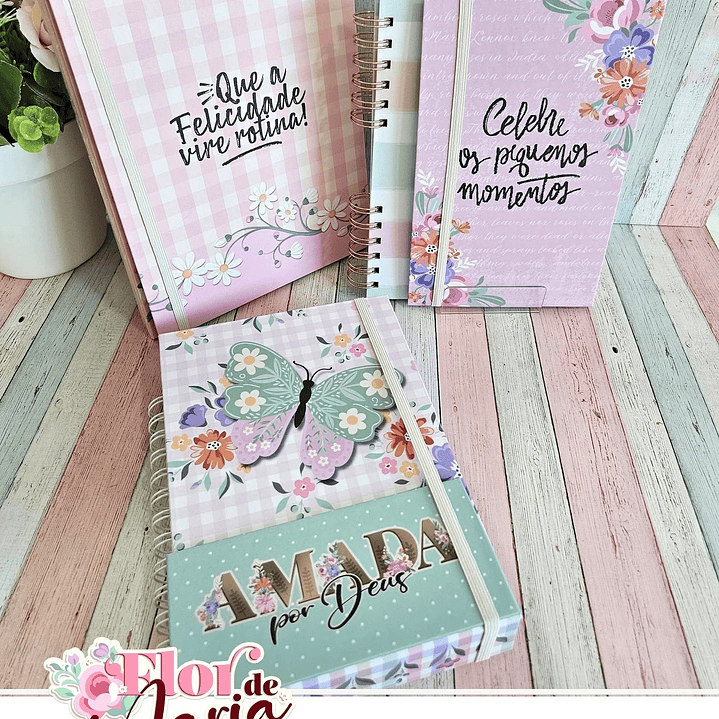 Arquivo Flor de Maria Especial + Video Aula  1