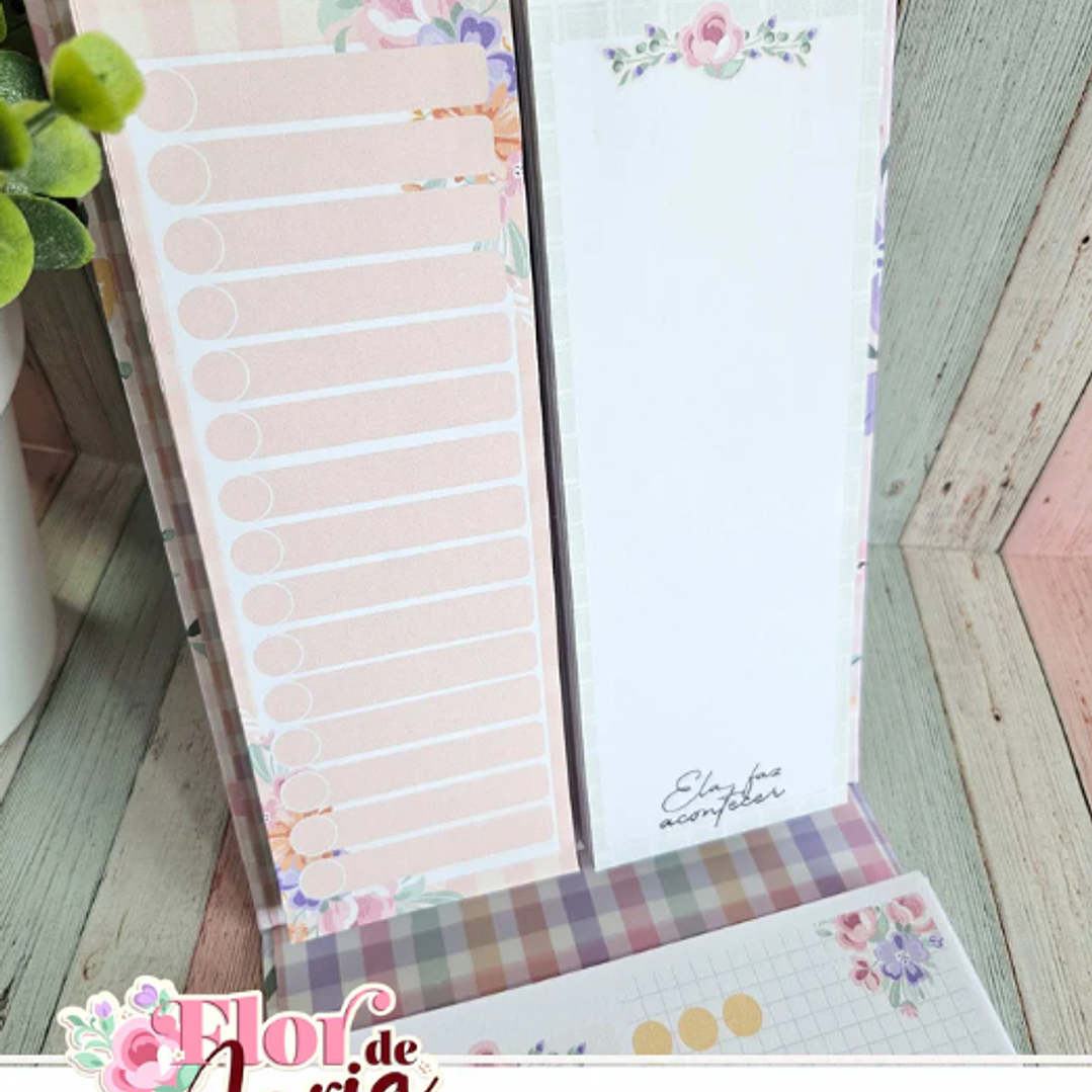 Arquivo Flor de Maria Especial + Video Aula  4