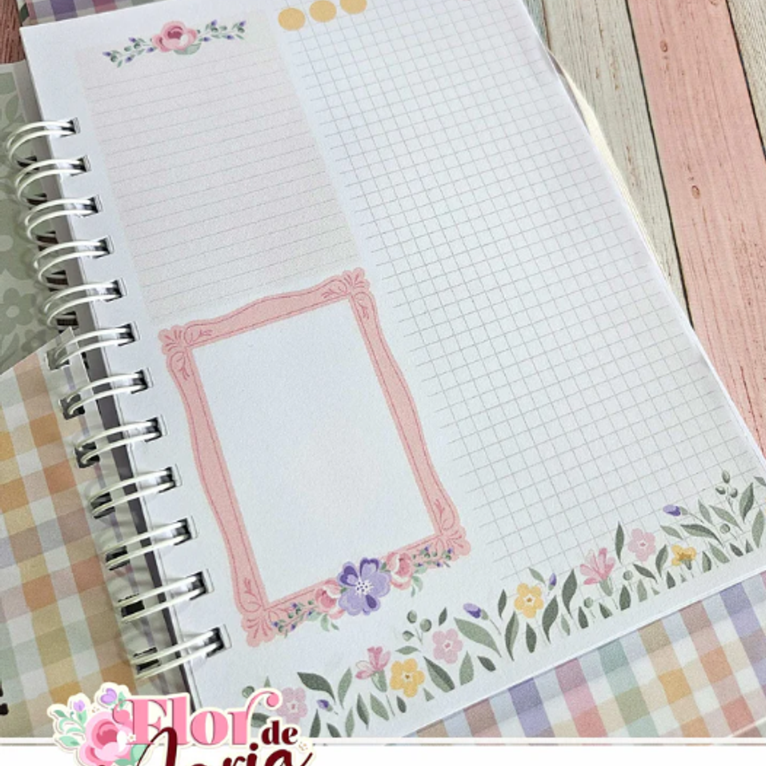 Arquivo Flor de Maria Especial + Video Aula  5