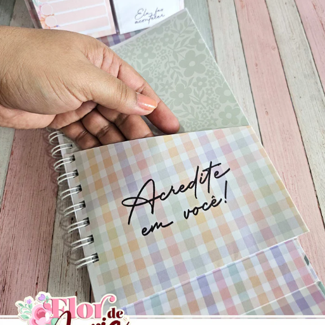 Arquivo Flor de Maria Especial + Video Aula  6