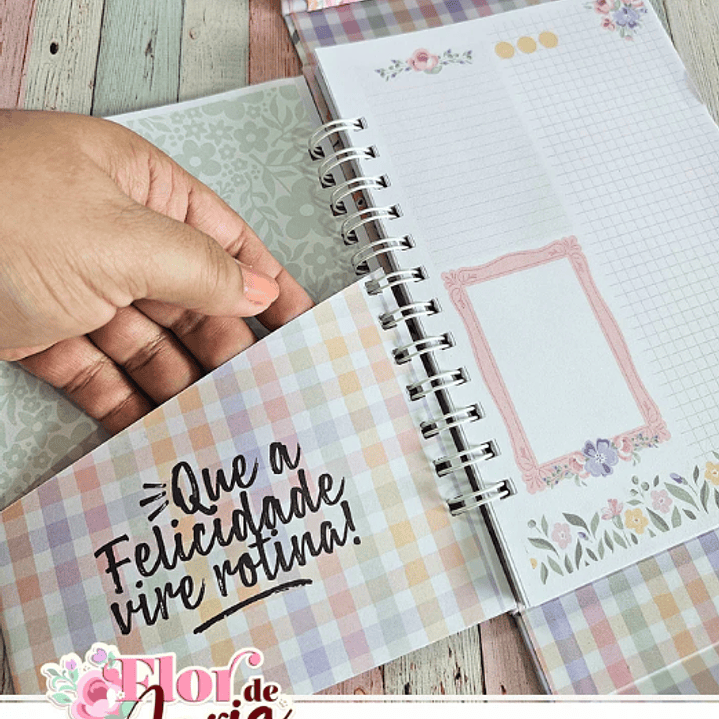 Arquivo Flor de Maria Especial + Video Aula  10