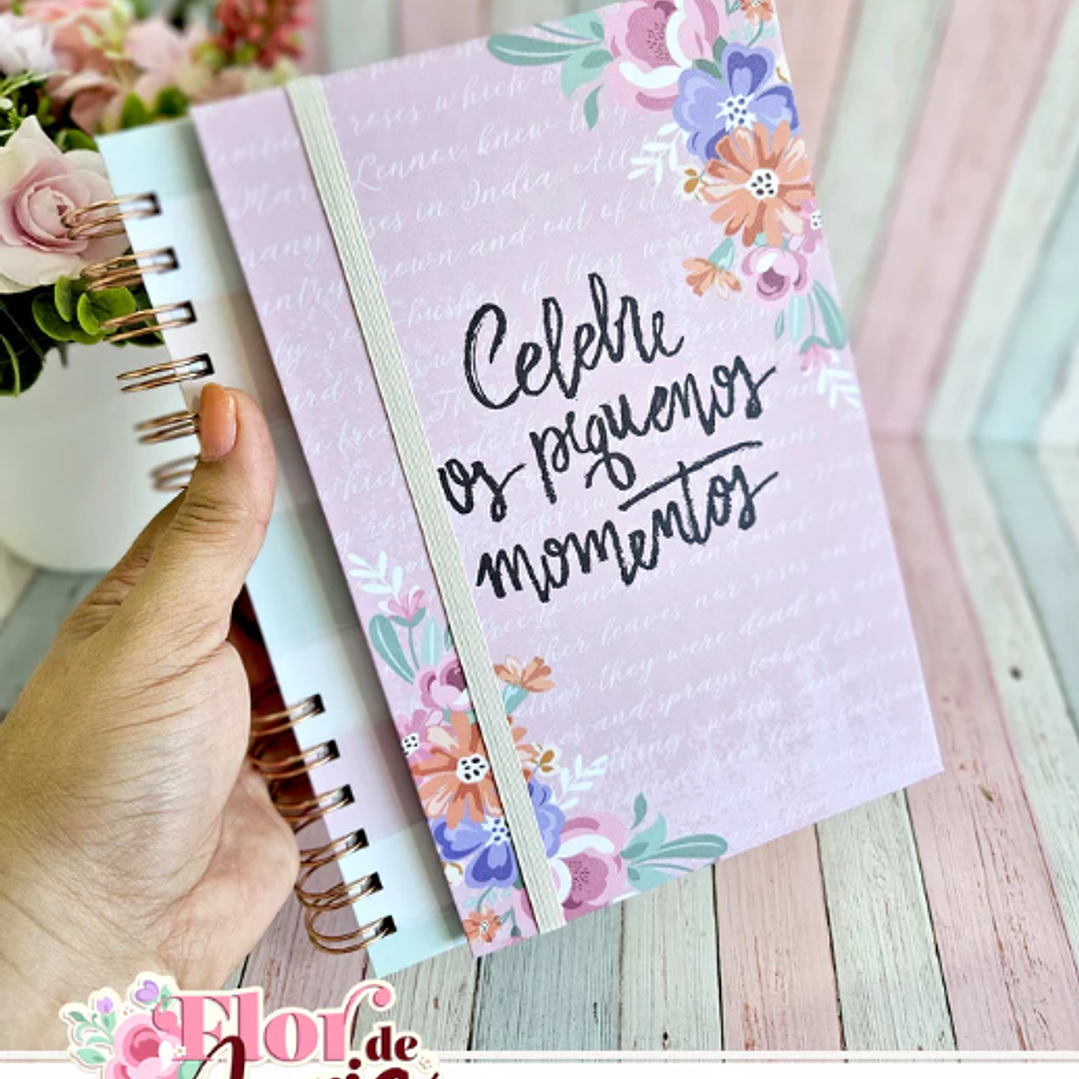 Arquivo Flor de Maria Especial + Video Aula  12