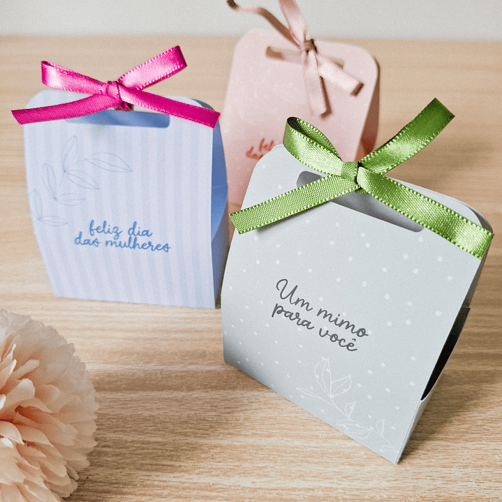 Arquivo Combo Dia da Mulher 2