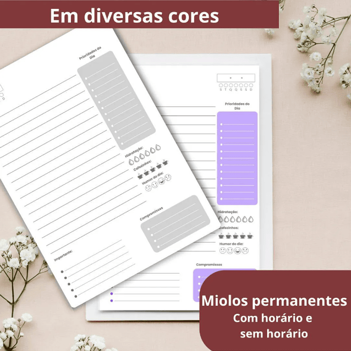 Arquivo Combo Agendas 2026  9