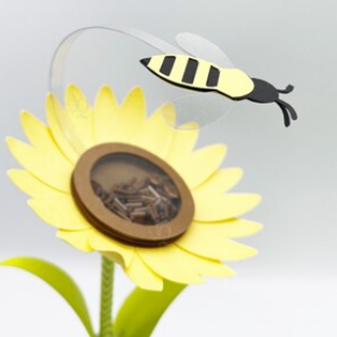 Arquivo Caixa Girassol 1