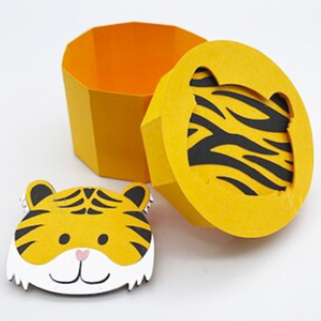 Arquivo Caixa Tigre  1