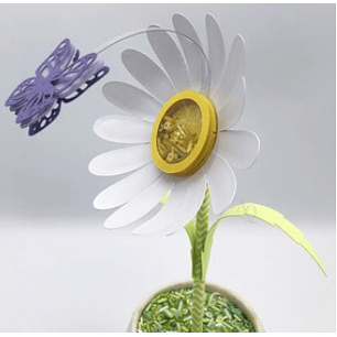 Arquivo Flor Margarida 