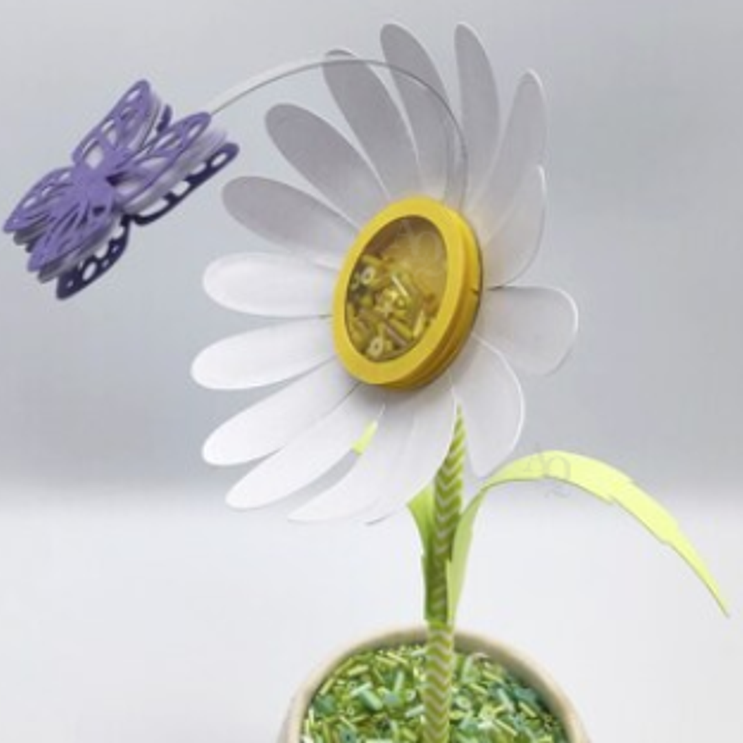 Arquivo Flor Margarida  1