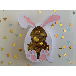 Arquivo Caixa Coelho 