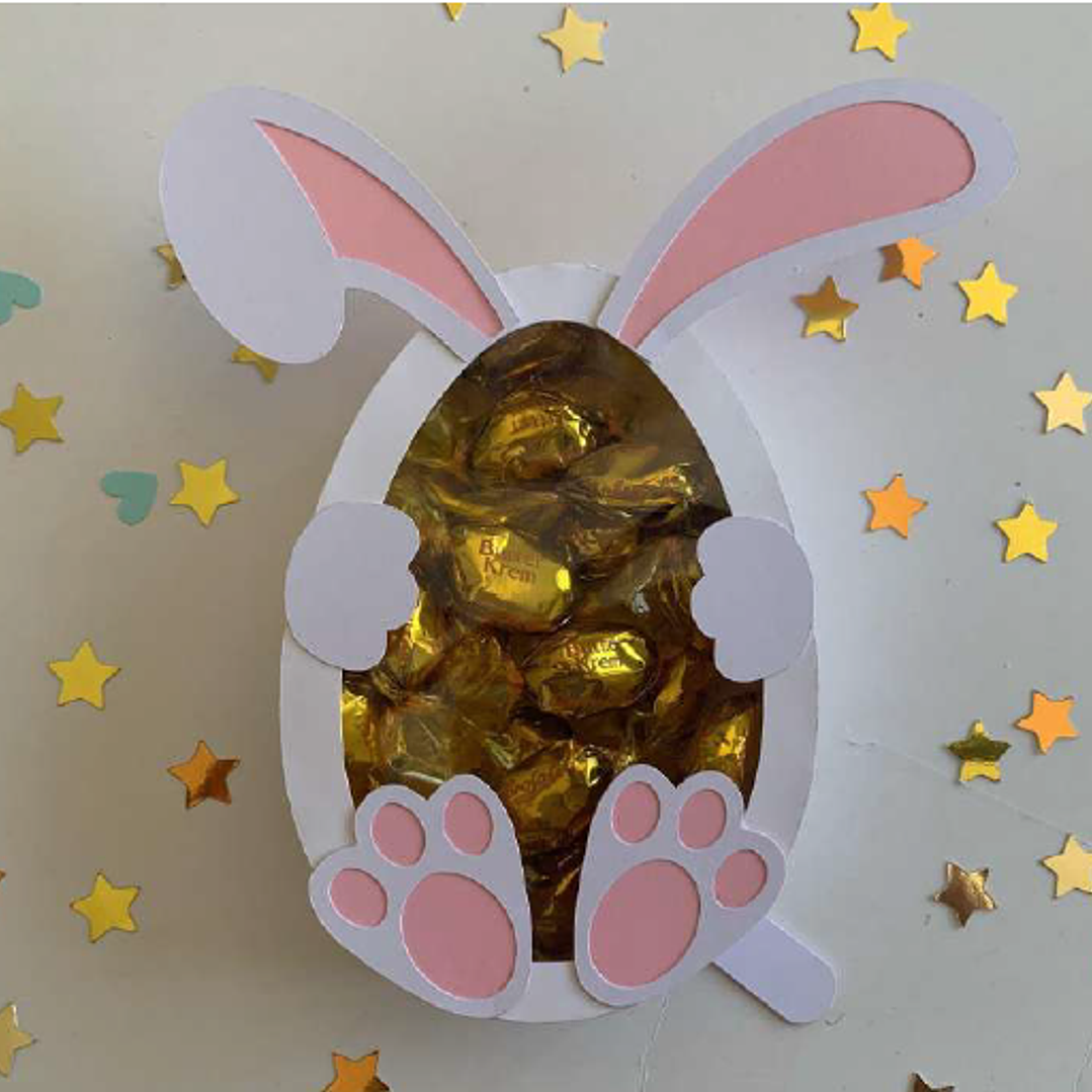 Arquivo Caixa Coelho  1