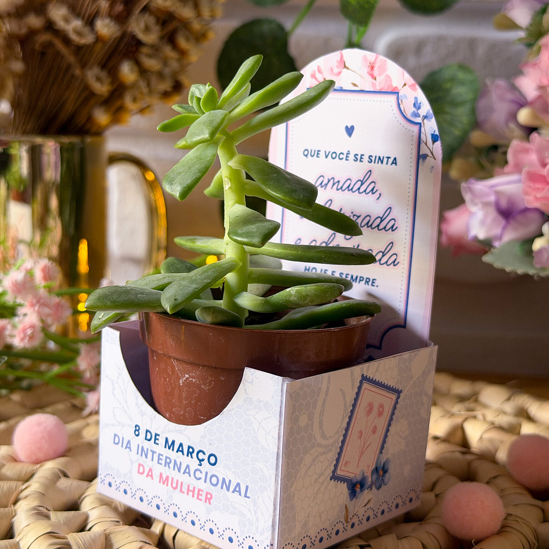 Arquivo Combo Dia da Mulher 2026 15