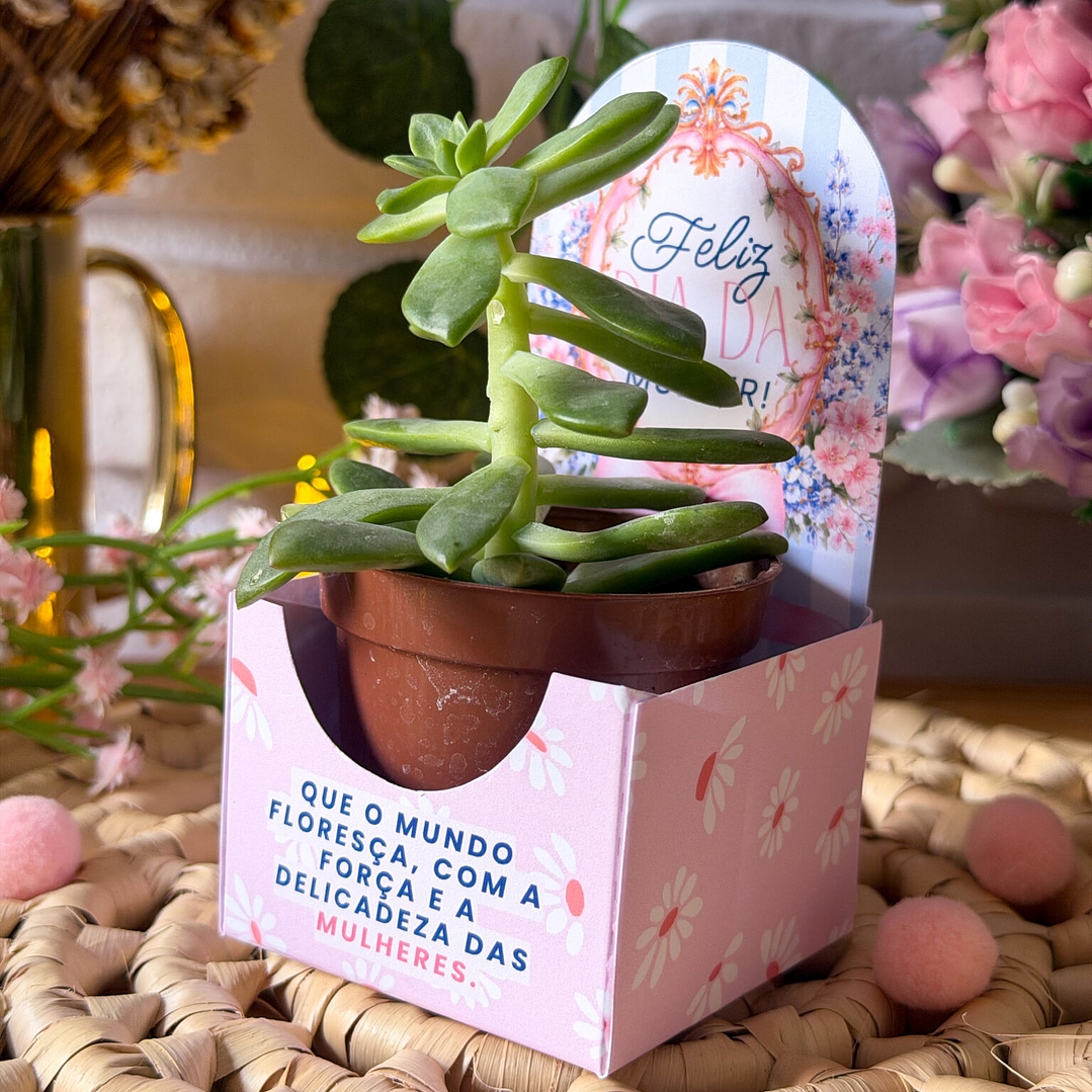 Arquivo Combo Dia da Mulher 2026 16