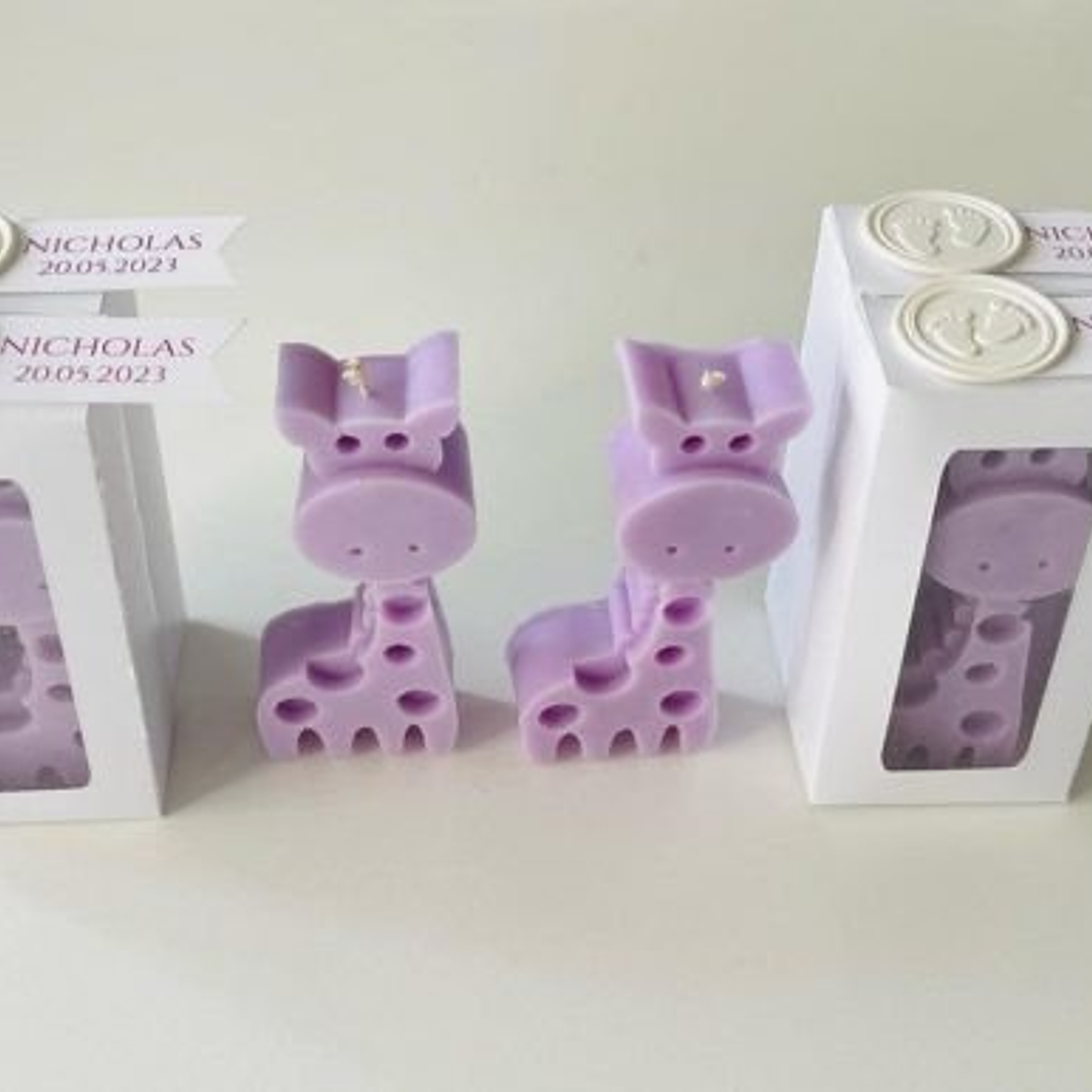 Arquivo Caixa Visor Alta  1