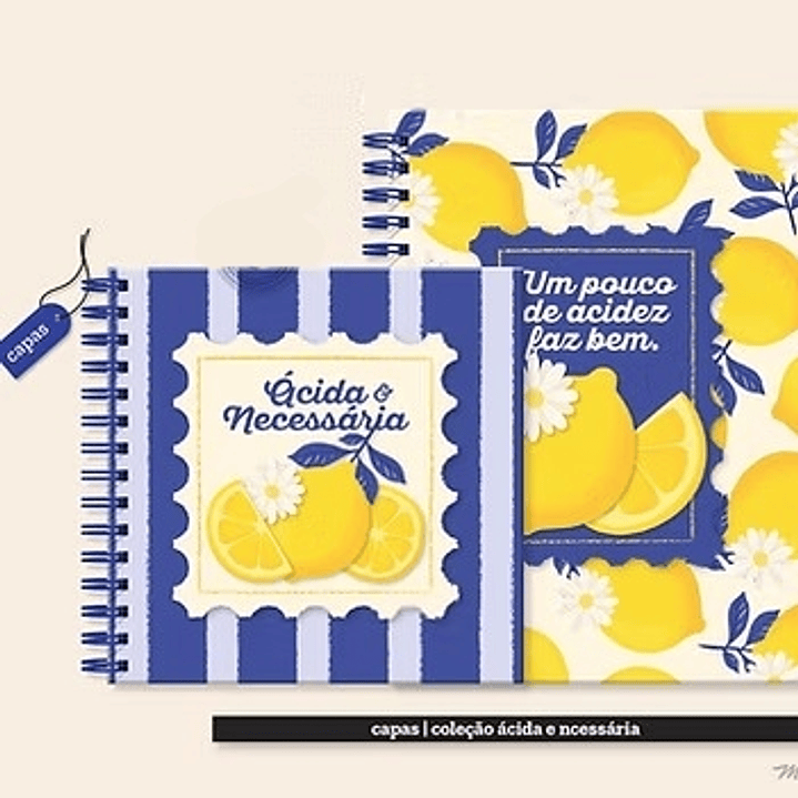 Arquivo Ácida e Necessária Capas & Artes  1