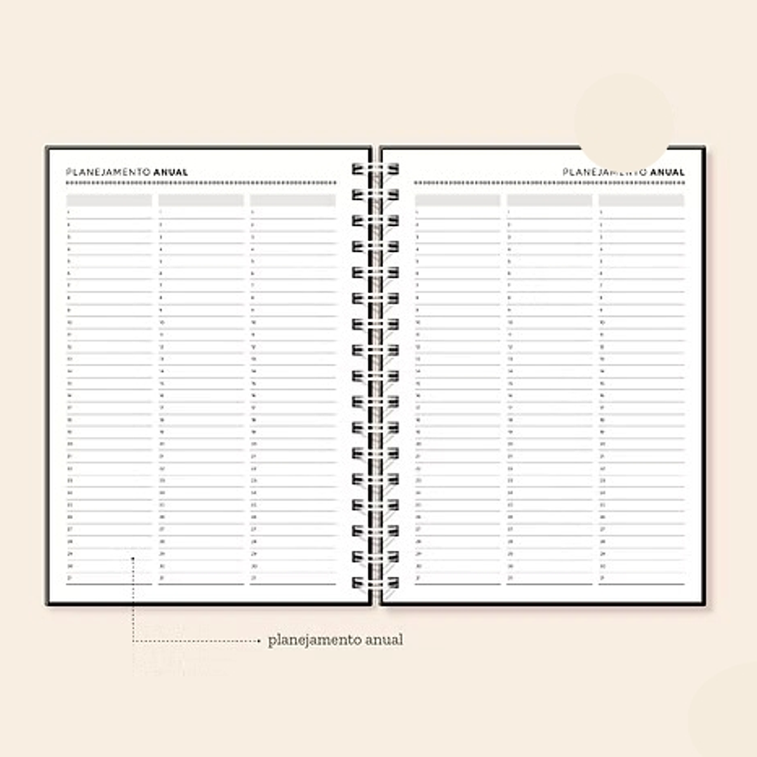 Arquivo Coleção Basic Agenda Permanente A5  3