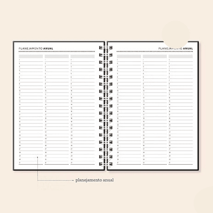 Arquivo Coleção Basic Agenda Permanente A5  3