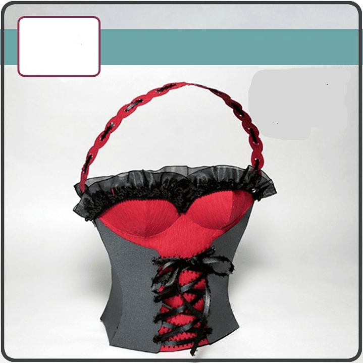 Arquivo Bolsa Busto 1