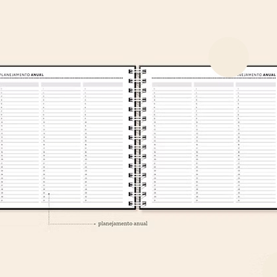 Arquivo Coleção Basic Planner Permanente 18x18 3