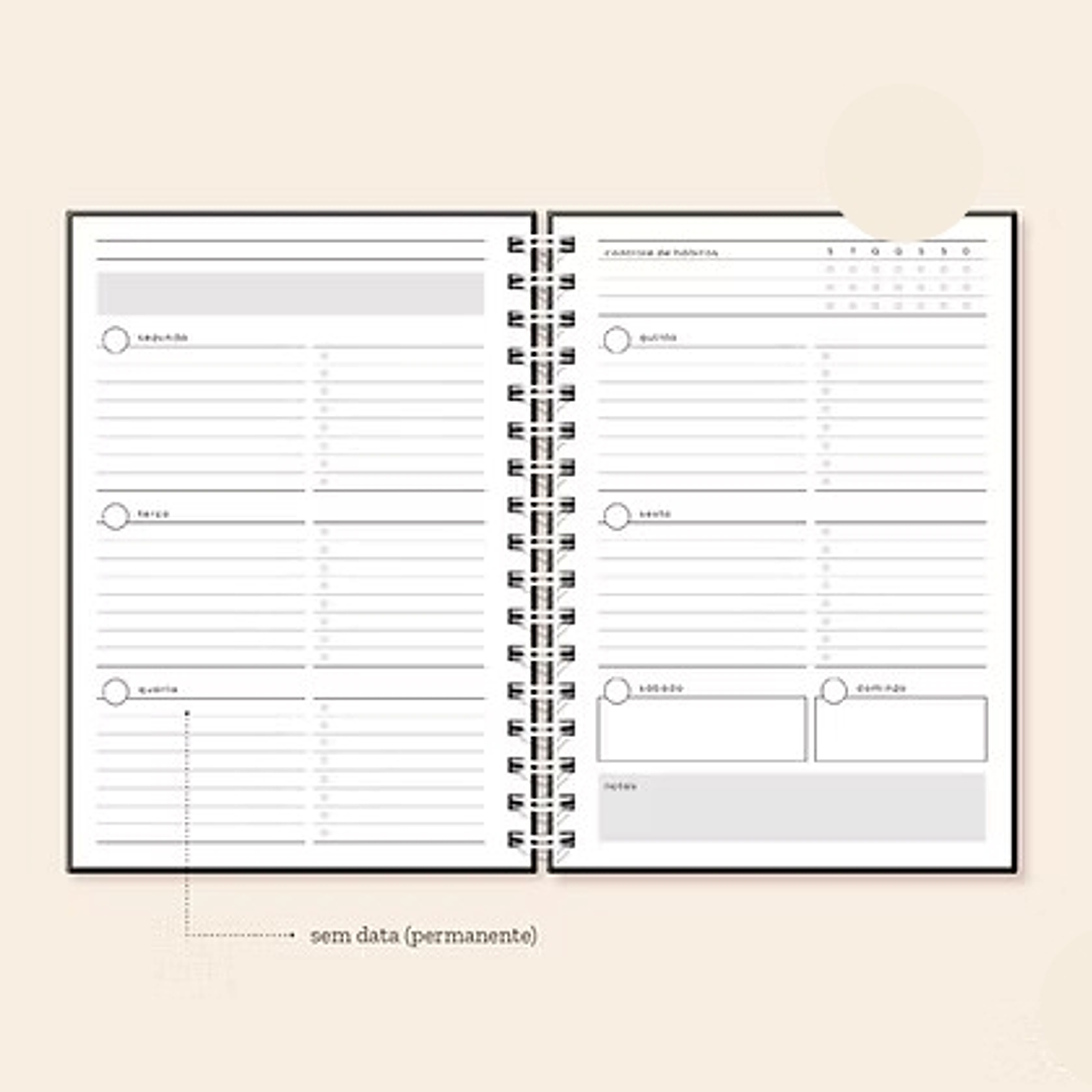 Arquivo Coleção Basic Planner Permanente A5  3