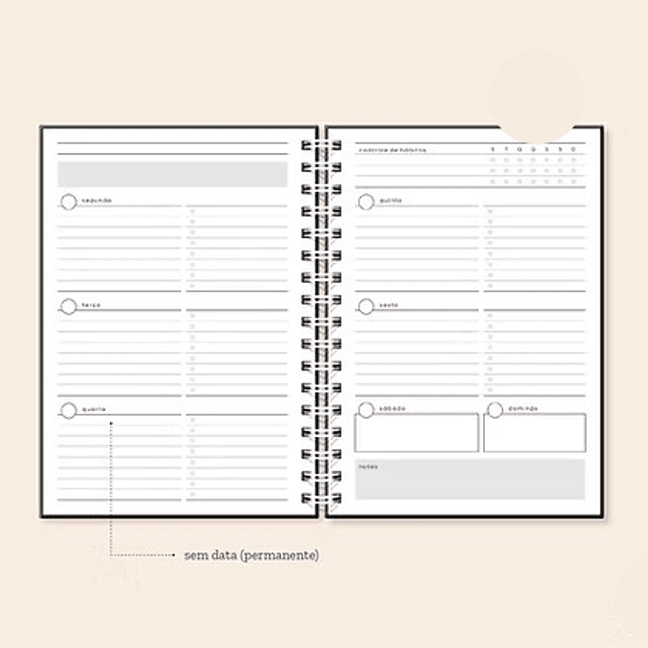 Arquivo Coleção Basic Planner Permanente A5  3
