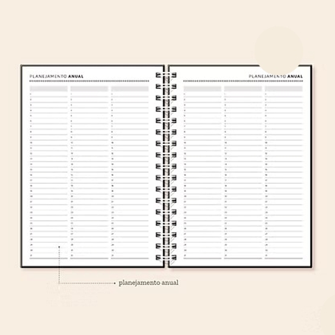 Arquivo Coleção Basic Planner Permanente A5  7