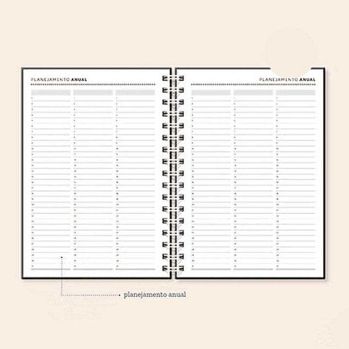 Arquivo Coleção Basic Planner Permanente A5  7