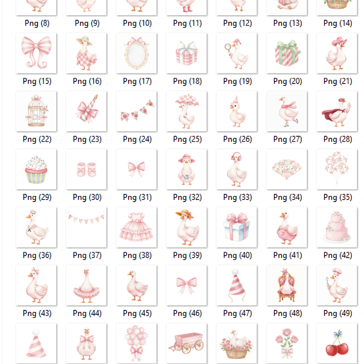 Kit Digital Ganso Rosa 2