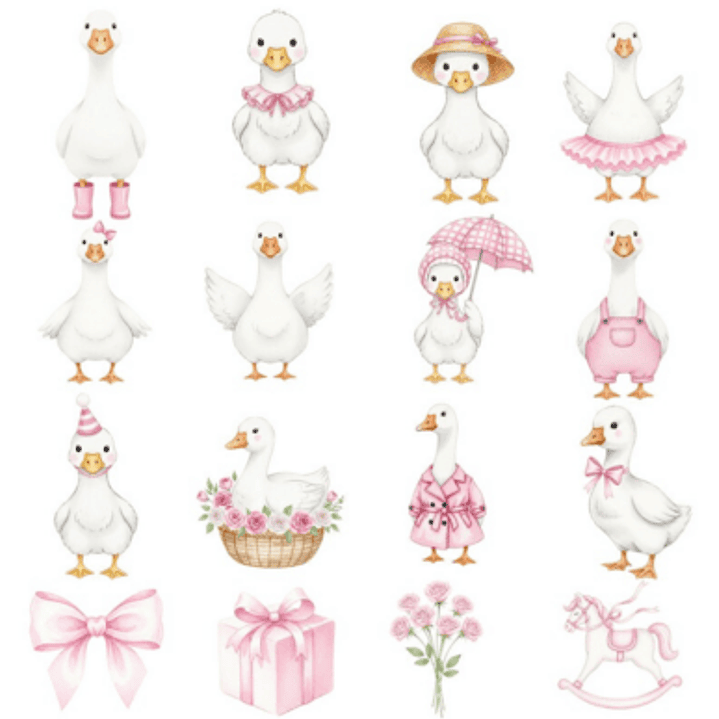 Kit Digital Ganso Rosa 2 4