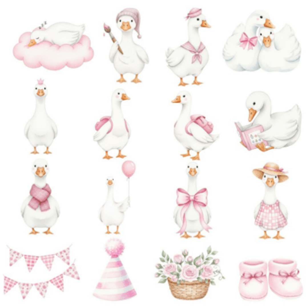 Kit Digital Ganso Rosa 2 5