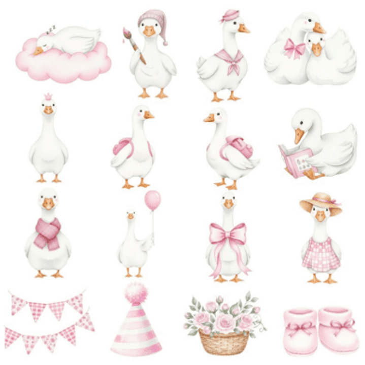 Kit Digital Ganso Rosa 2 5