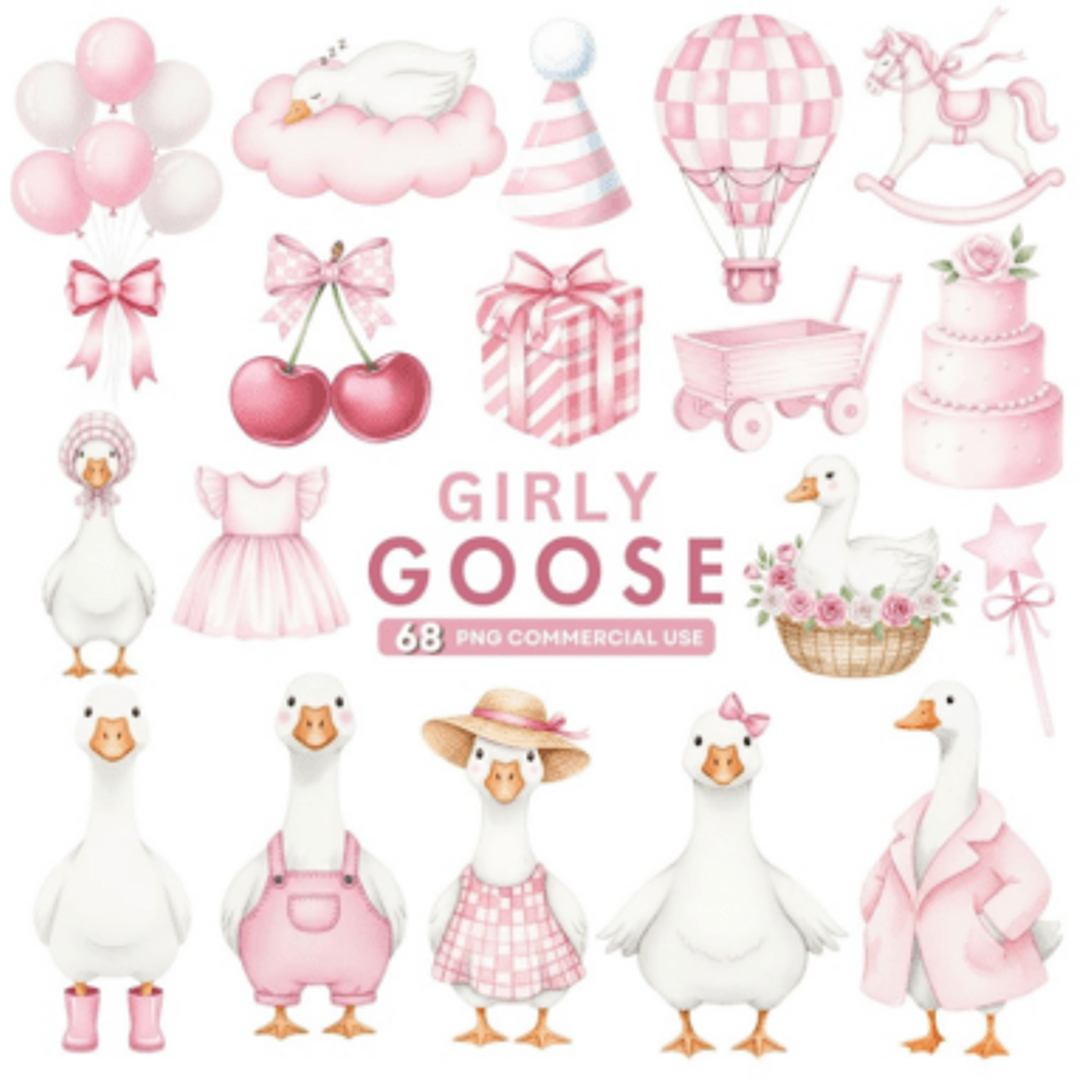 Kit Digital Ganso Rosa 2 1