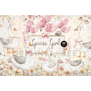 Kit Digital Ganso Rosa 3