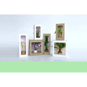 Arquivo de Corte Combo Caixas Visor 