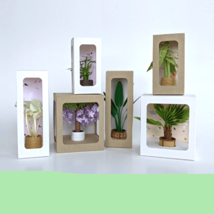 Arquivo de Corte Combo Caixas Visor  1