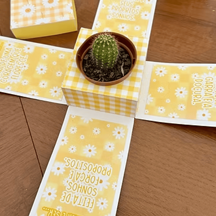 Arquivo Dia da Mulher Caixa Explosão  1