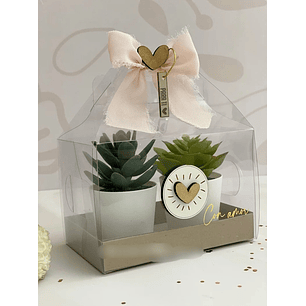 Arquivo de Corte Maleta para Suculenta 