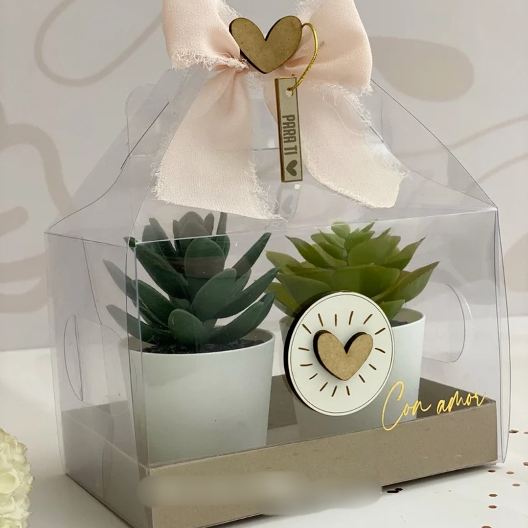 Arquivo de Corte Maleta para Suculenta  1