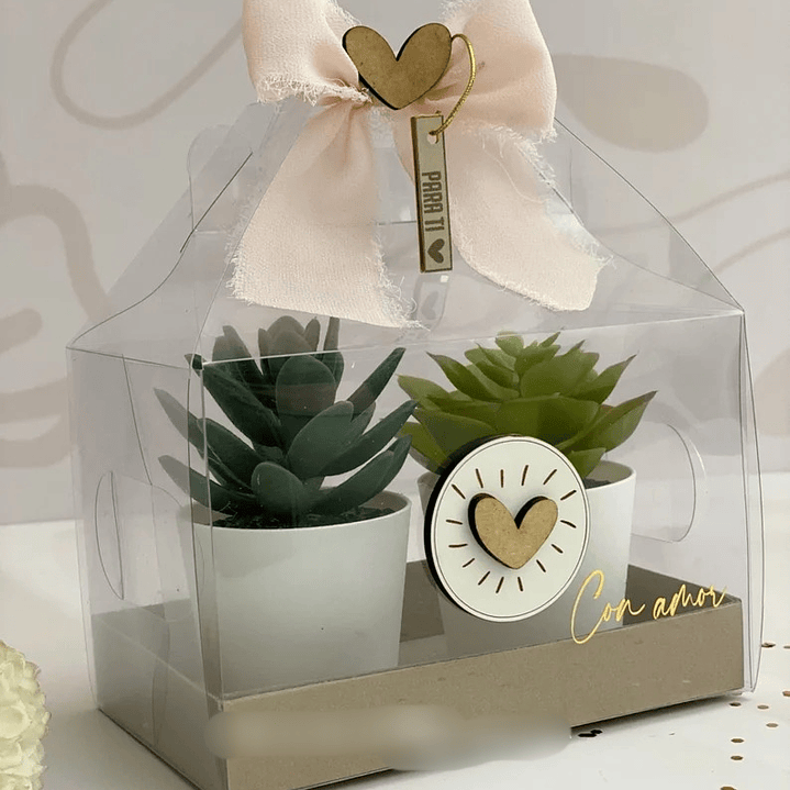 Arquivo de Corte Maleta para Suculenta  1