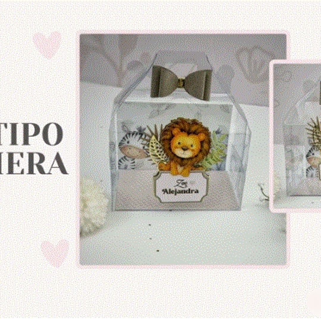 Arquivo de Corte Maletinha  1