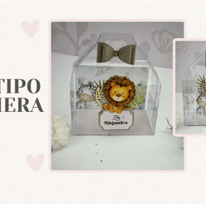 Arquivo de Corte Maletinha  1