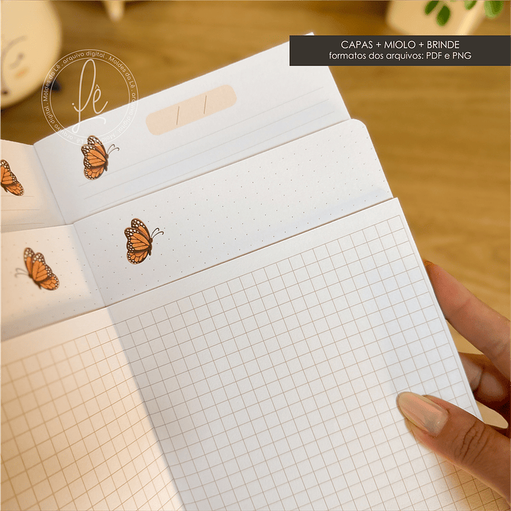 Arquivo Dia da Mulher Coleção Brochuras 1