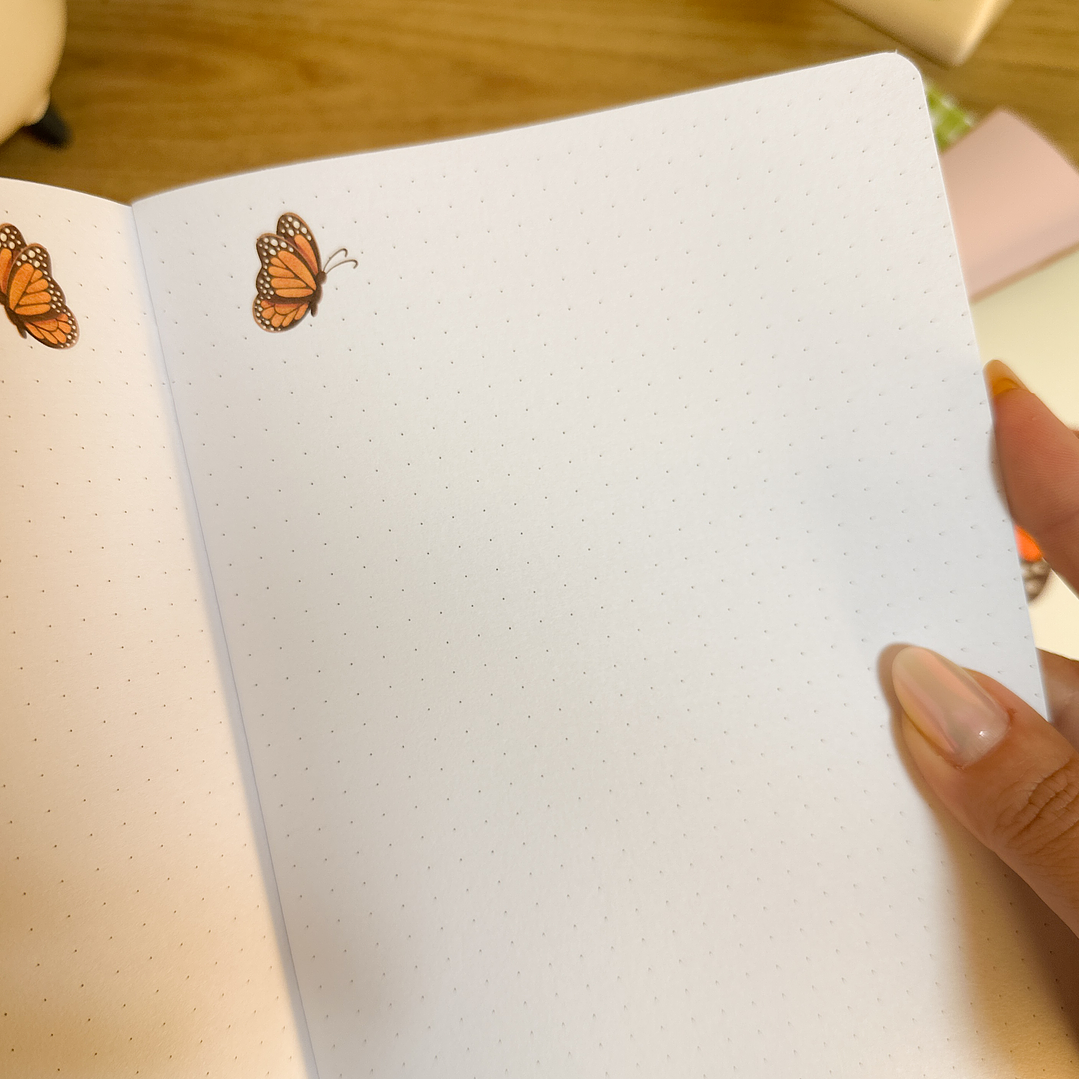 Arquivo Dia da Mulher Coleção Brochuras 6