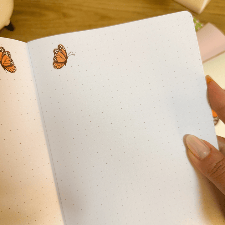 Arquivo Dia da Mulher Coleção Brochuras 6