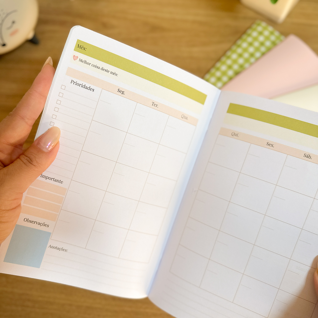 Arquivo Dia da Mulher Coleção Brochuras 18