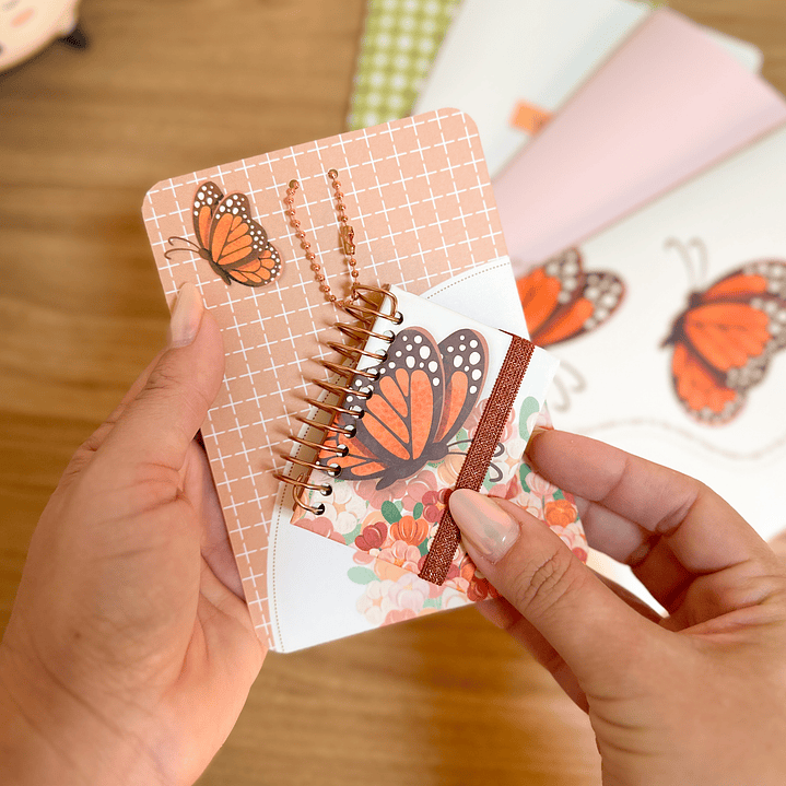 Arquivo Dia da Mulher Coleção Brochuras 22